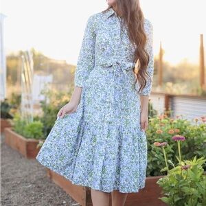 ISO Dainty Jewells Honeybees and Hydrangeas dress L